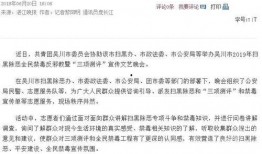 吴川最新爆料网信息新闻,揭秘网络热点背后的真相